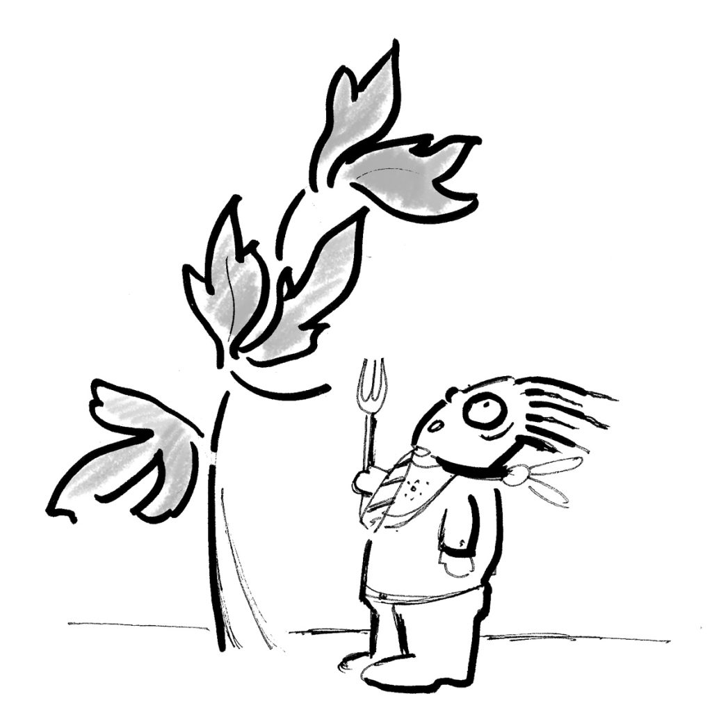 Ilustracja 13