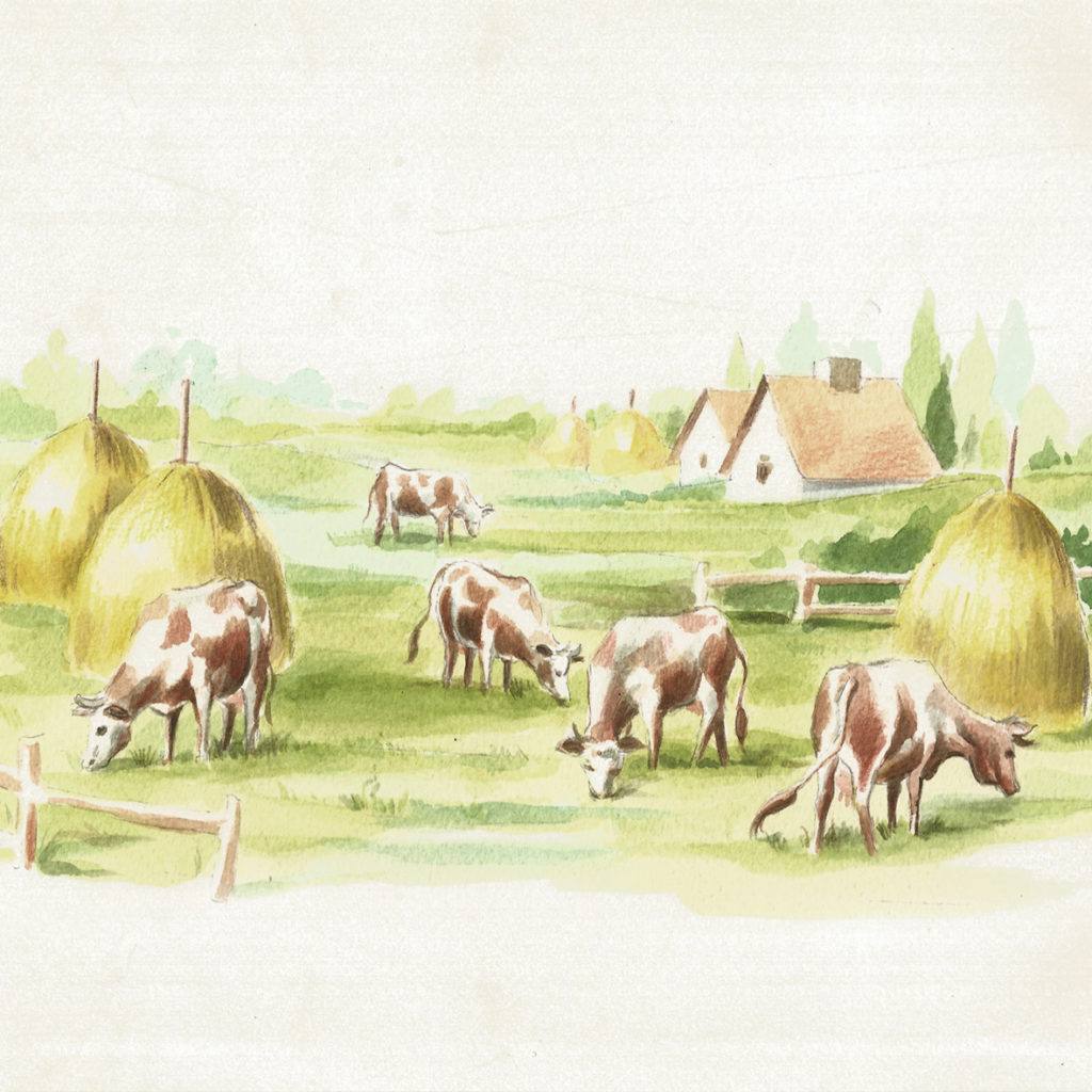 Ilustracja 15