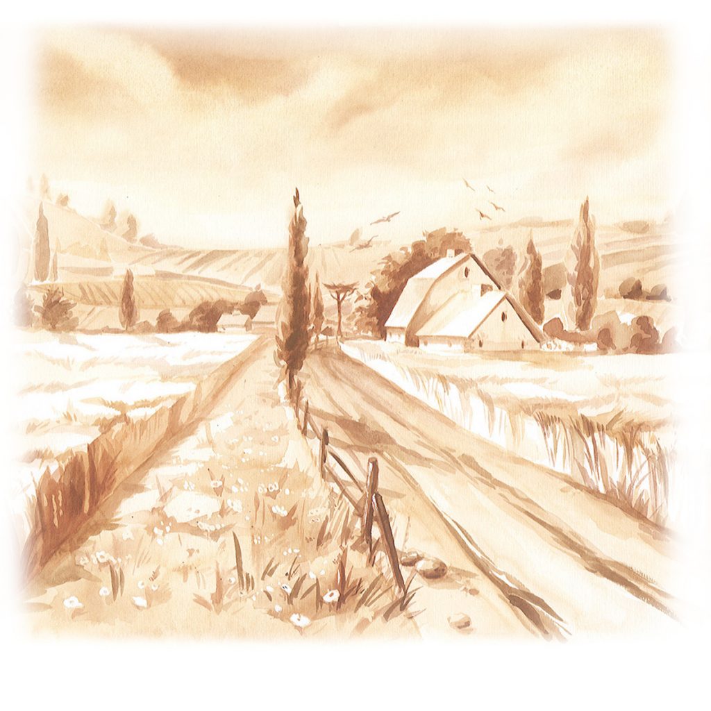 Ilustracja 9