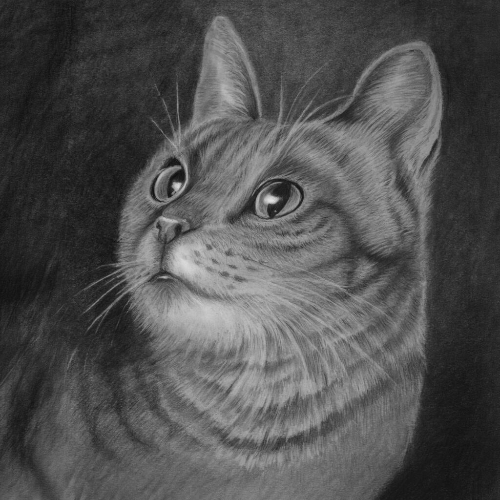 Ilustracja 2